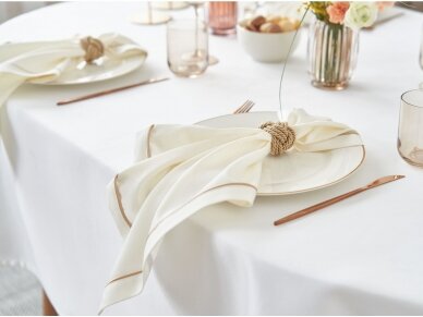 Napkin champagne FOLGORE TOUN 6